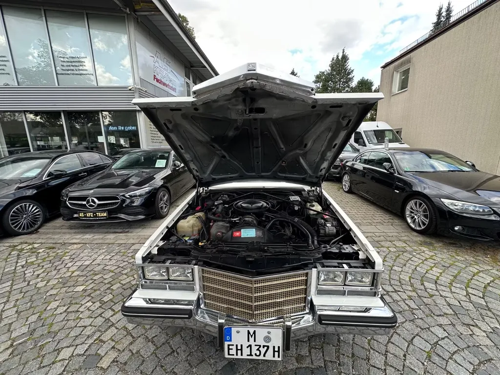Bild 50