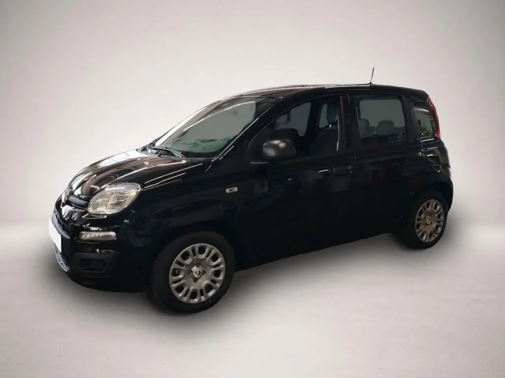 Fiat Andere