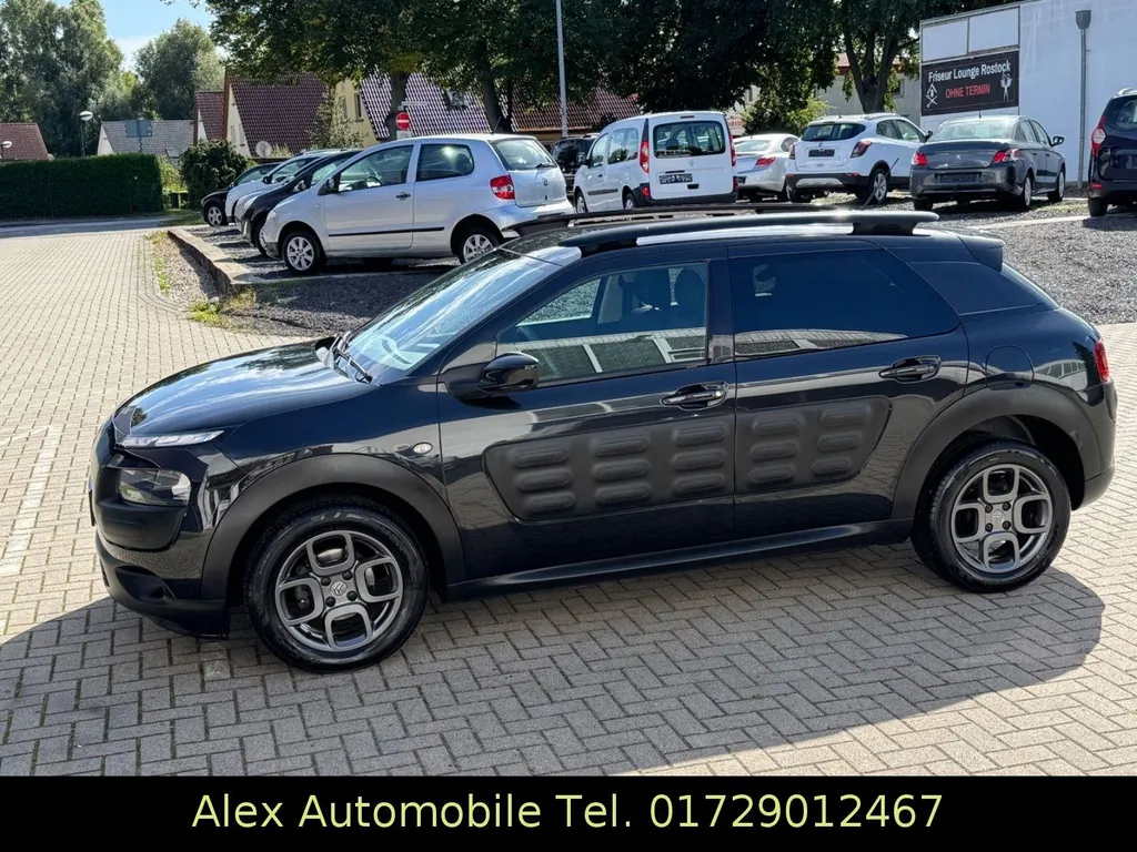 Bild 19
