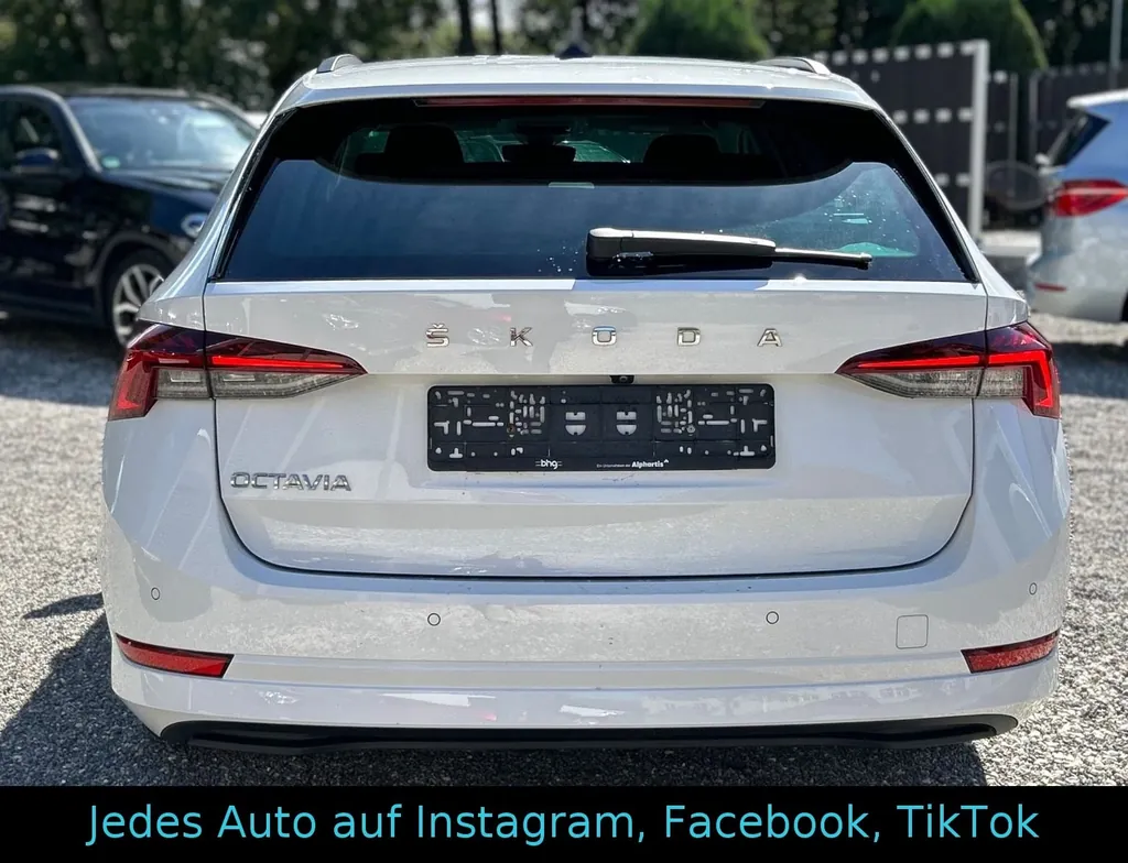 Bild 12