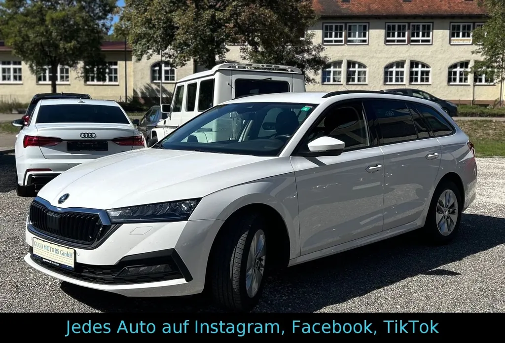 Bild 15