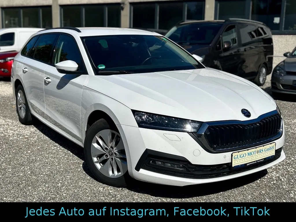 Bild 17