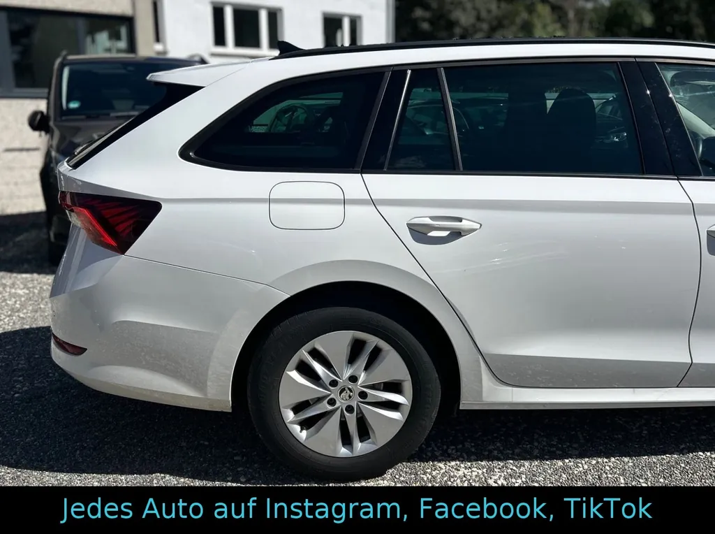 Bild 19