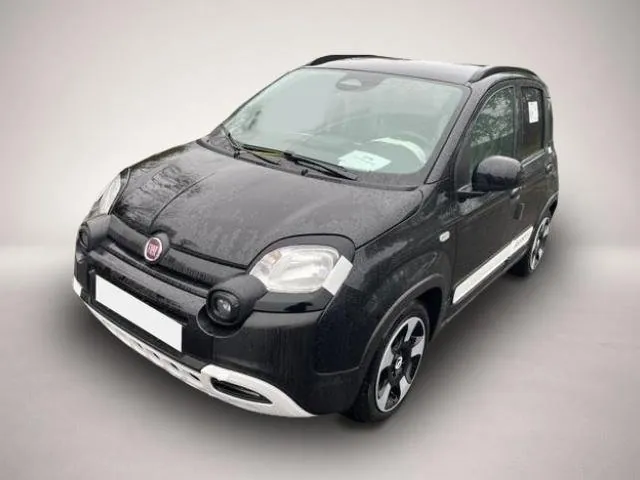 Fiat Andere