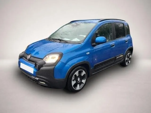 Fiat Andere