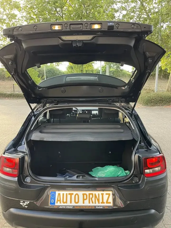 Bild 19