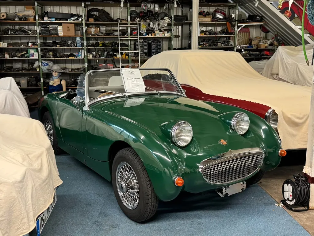 Austin Healey Andere
