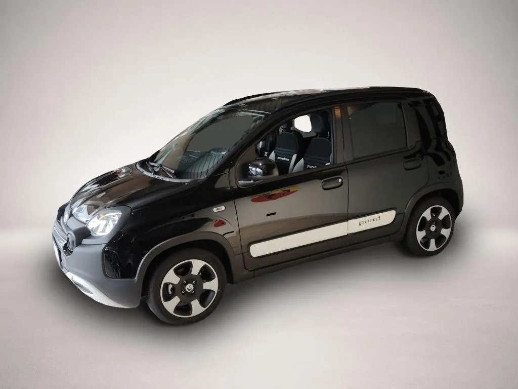 Fiat Andere