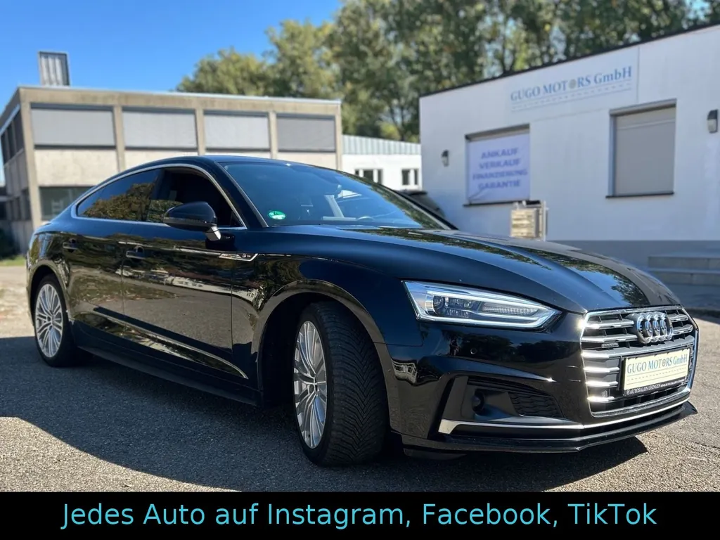 Bild 12