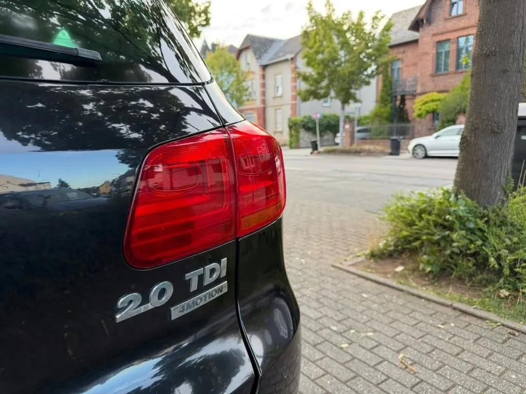 Bild 11