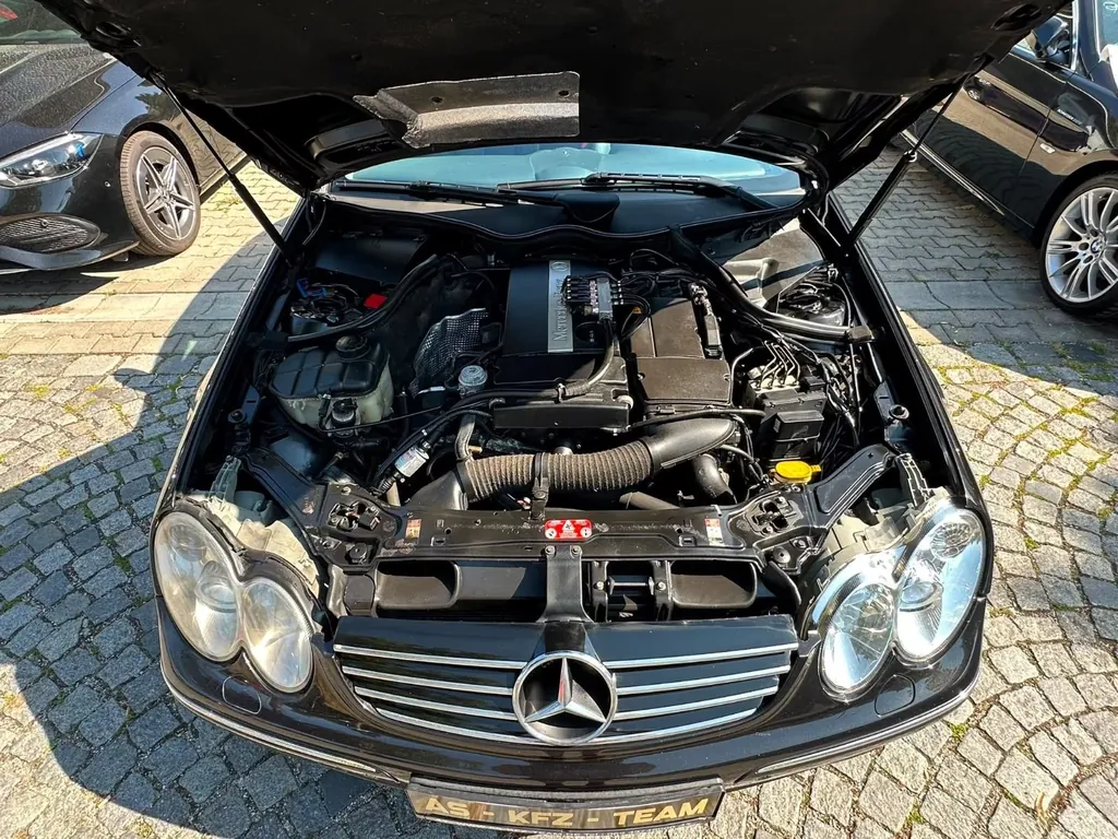Bild 50