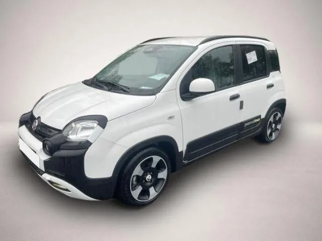 Fiat Andere