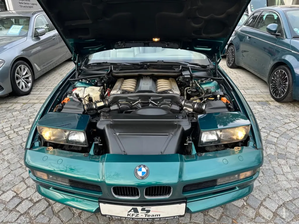 Bild 50
