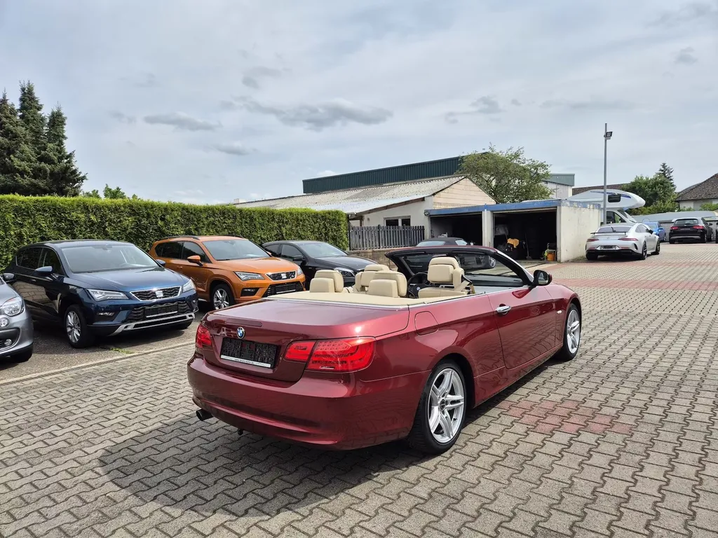 Bild 15