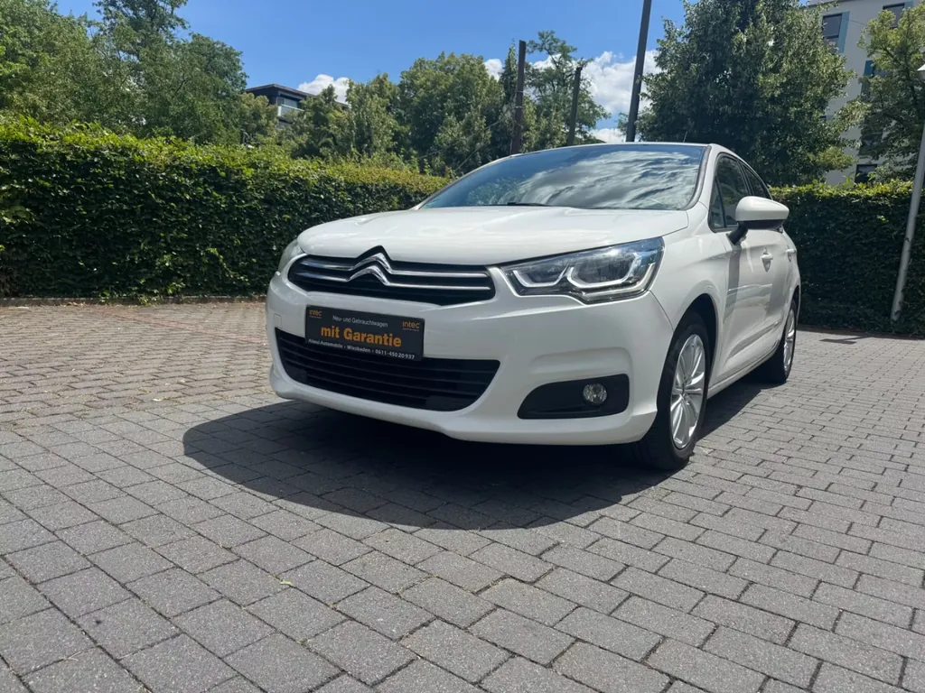 Bild 19