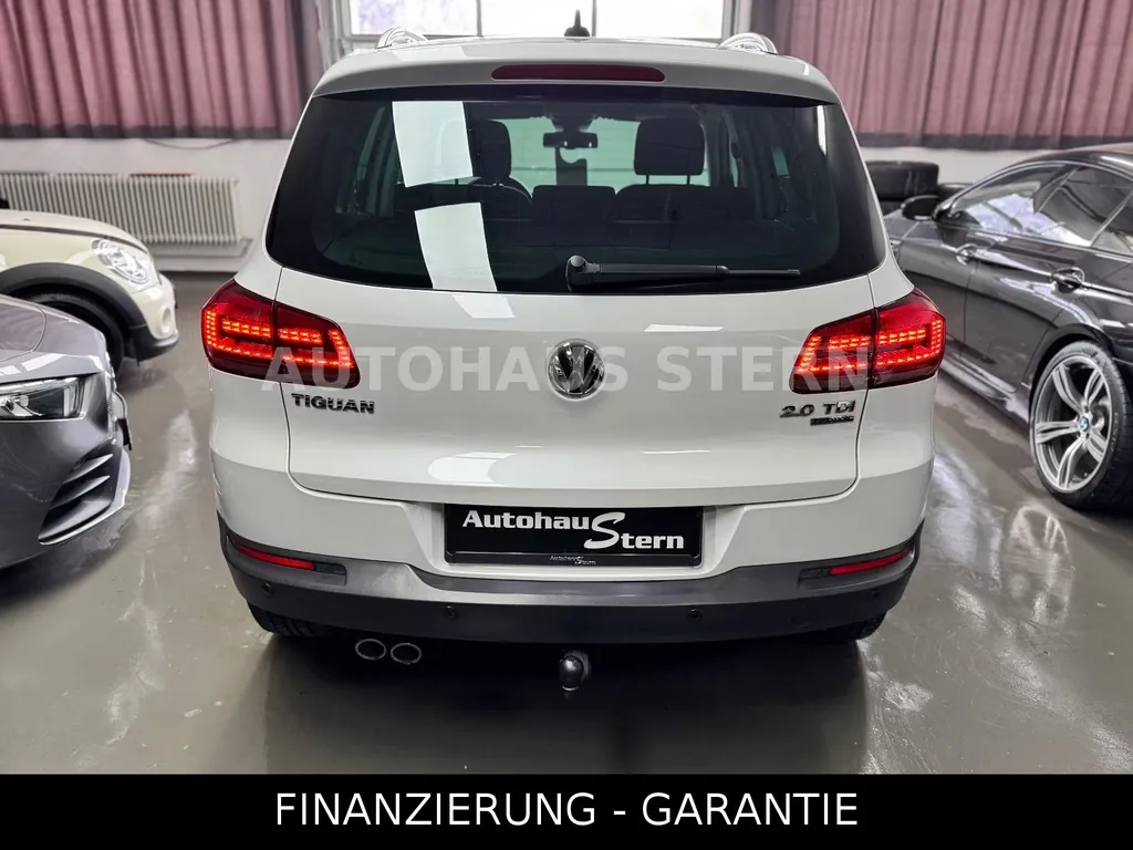 Bild 10