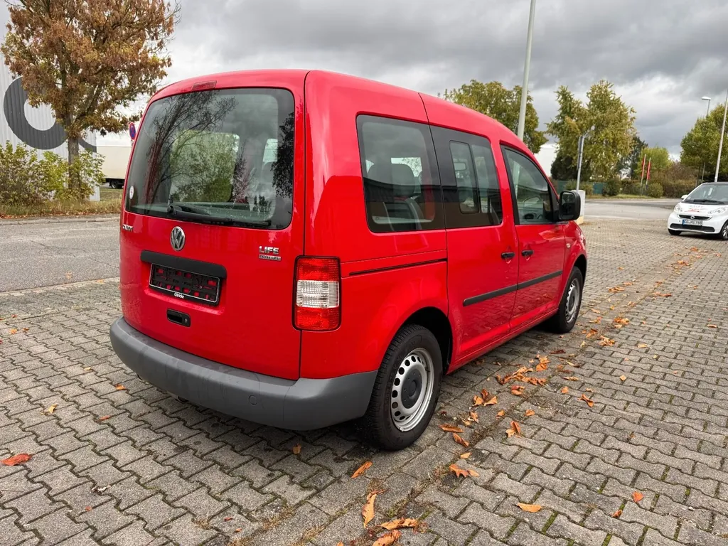 Bild 7
