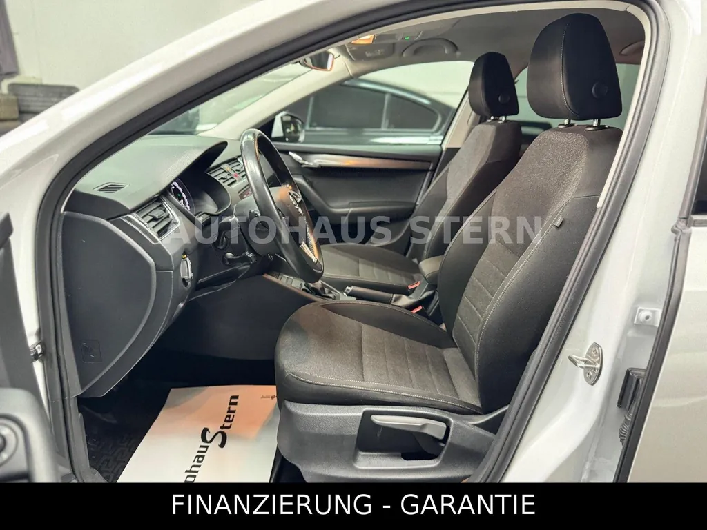 Bild 12
