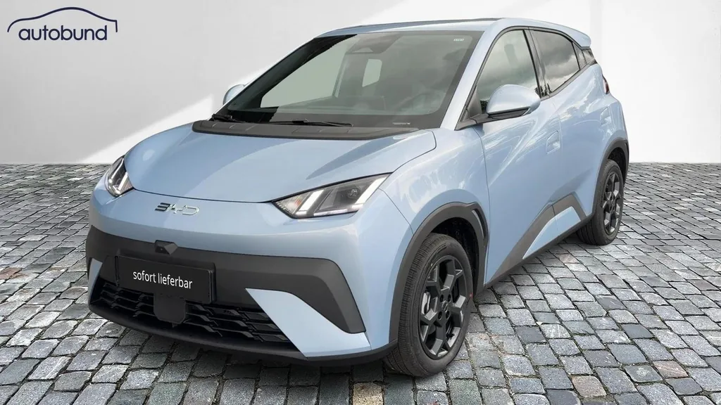 BYD DOLPHIN SURF