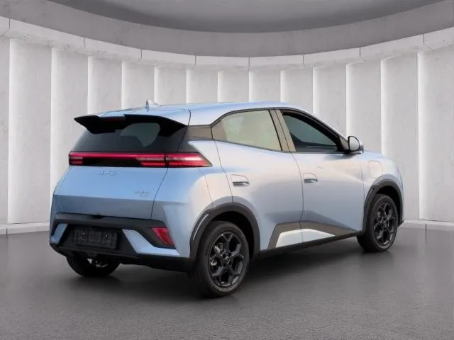 BYD DOLPHIN SURF