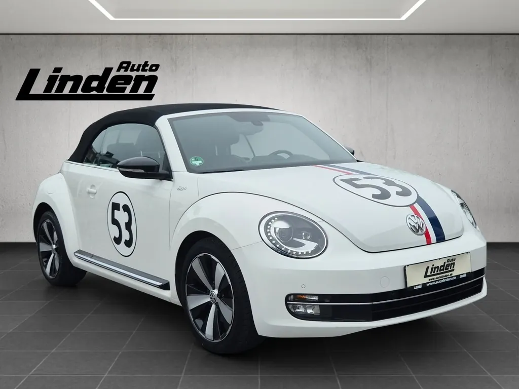 Bild 7