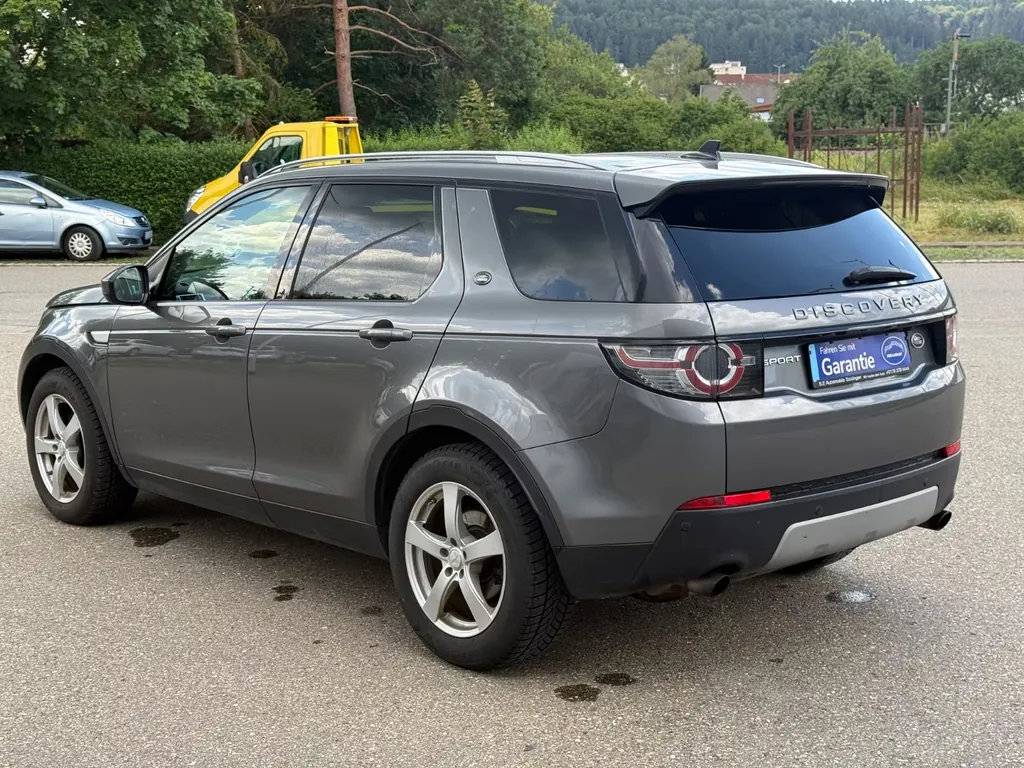 Bild 19