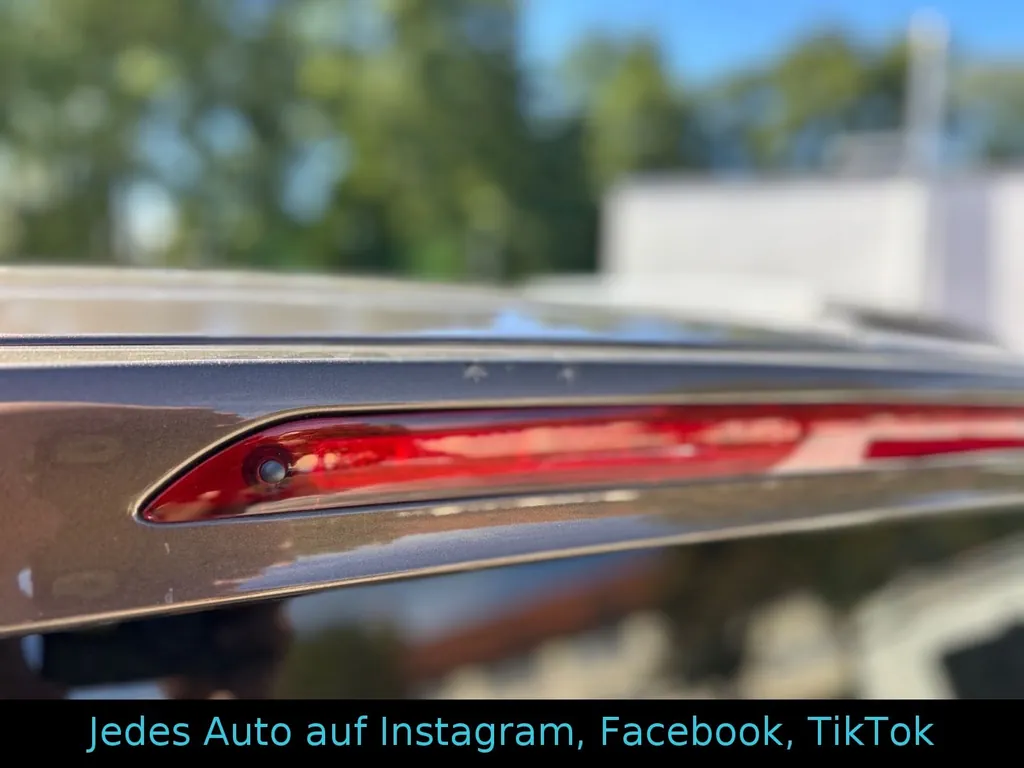 Bild 16