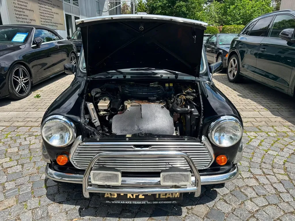 Bild 50