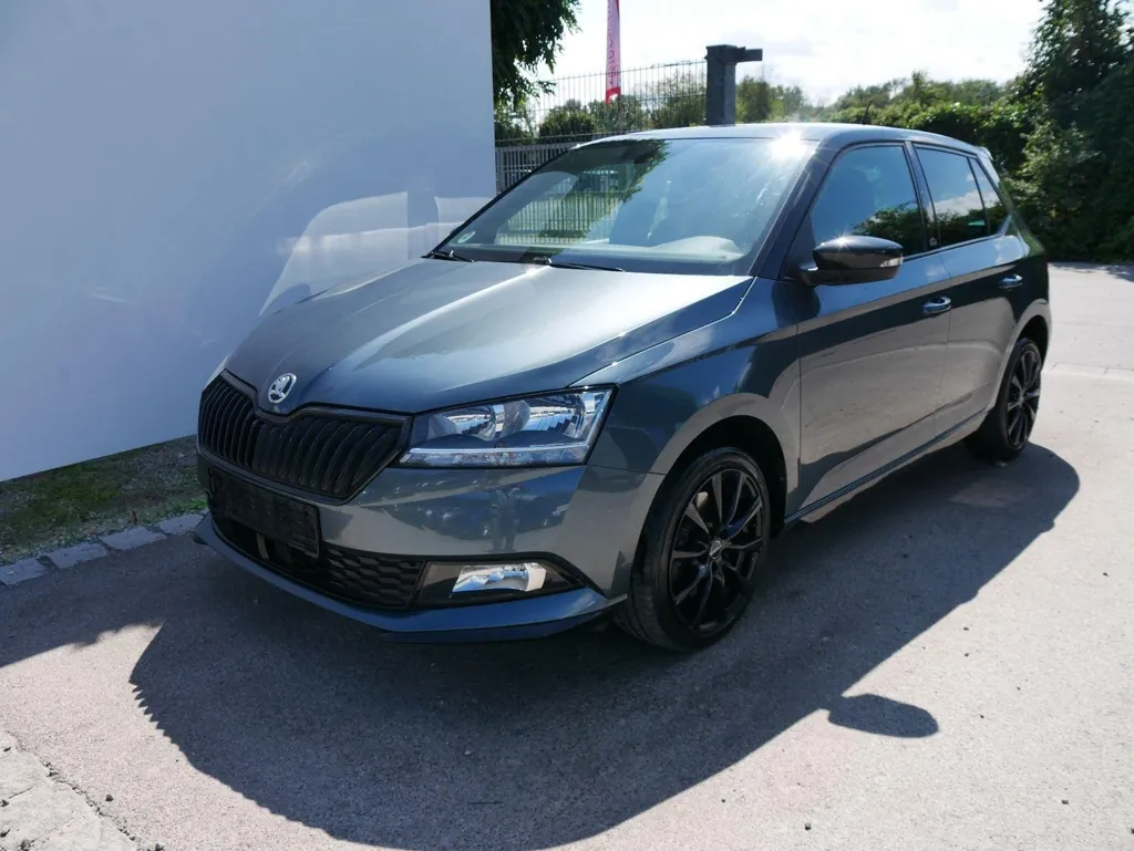 Skoda Andere