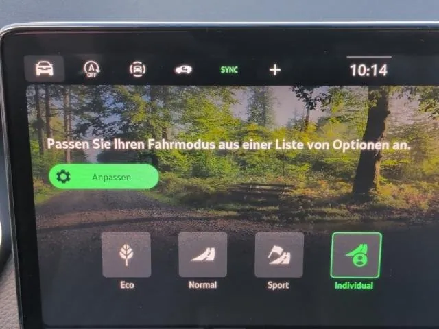 Bild 10