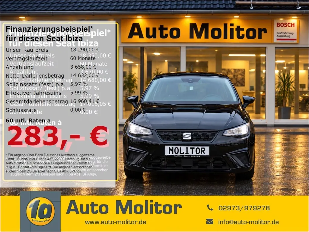 Seat Ibiza