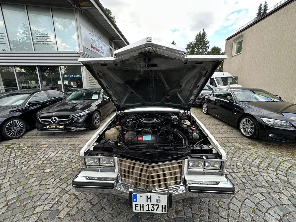 Bild 50
