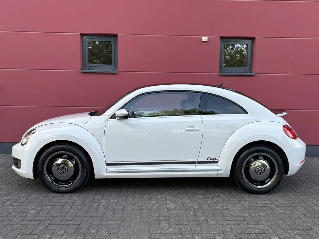 Bild 8