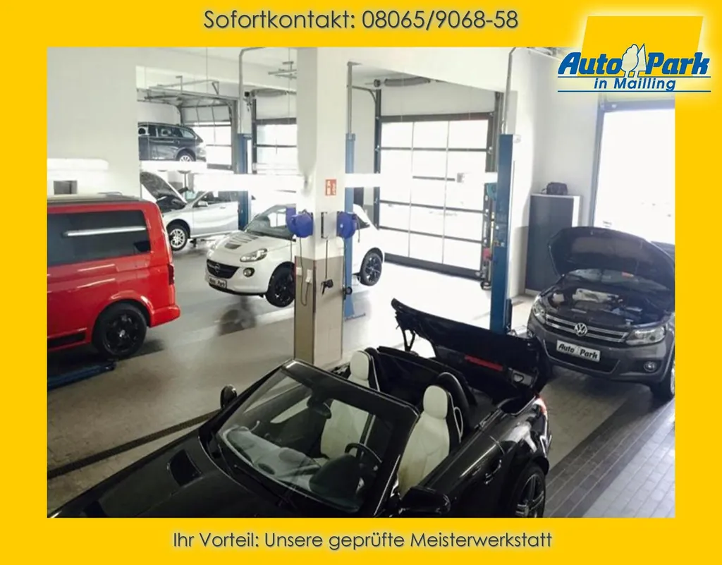 Bild 19